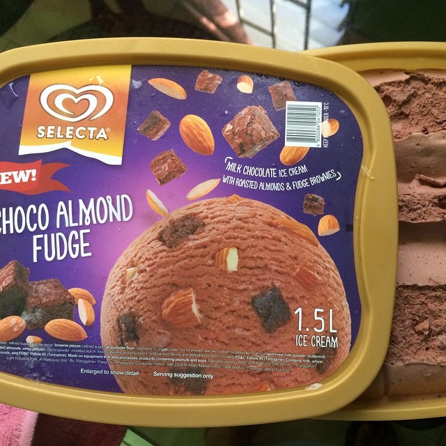 Selecta Ice-Cream: Choco Almond Fudge