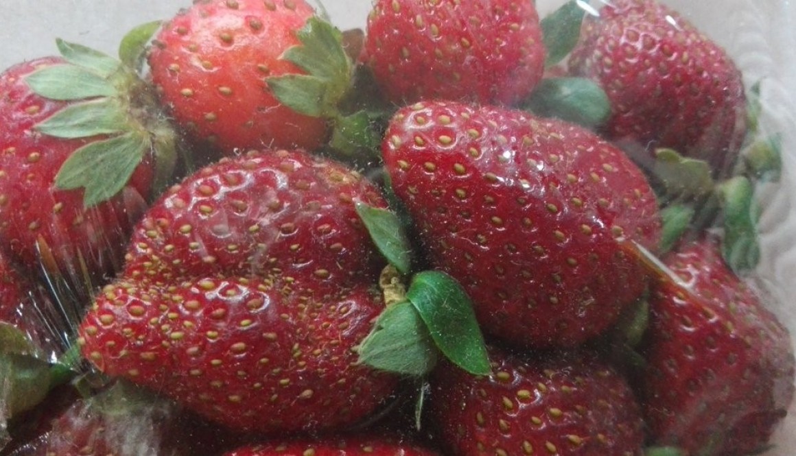 Baguio strawberries. Photo by Angie Pastor.