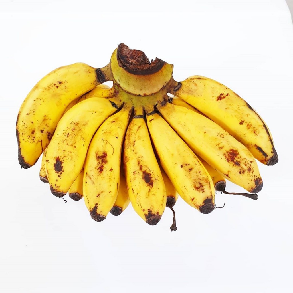 latondan bananas