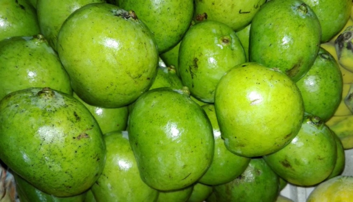 Green Indian Mangoes in the Philippines