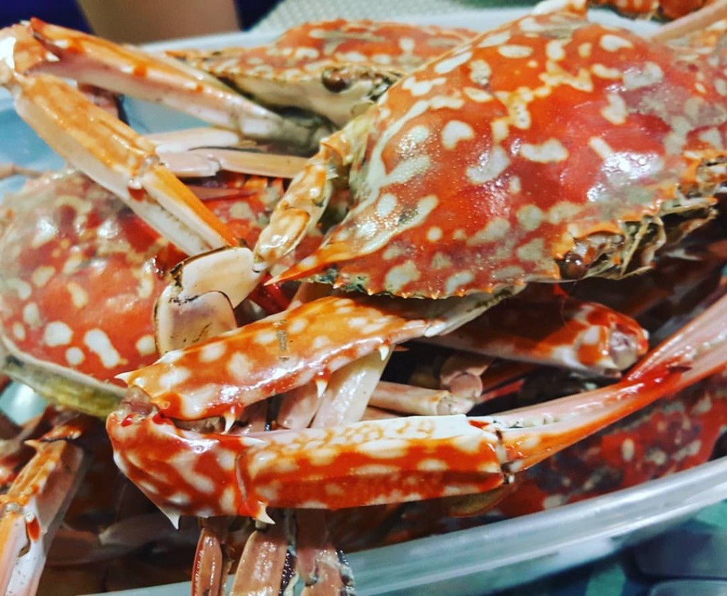 Filipino crabs