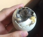 Balut with Black Chick Inside