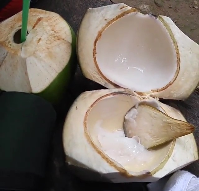 Buko: Young Coconuts in the Philippines