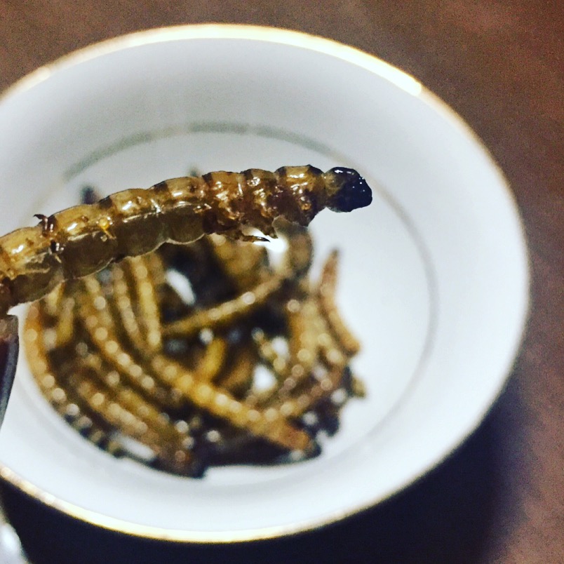 Philippine insects for food