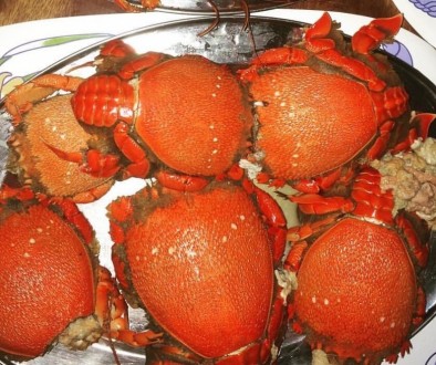 Curacha crabs