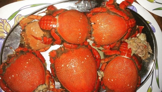 Curacha crabs
