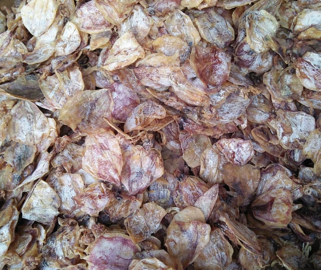 dried pusit
