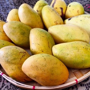 Filipino Mangoes