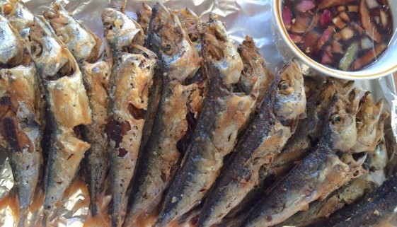 Galunggong Fish