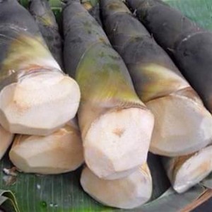 Labong (Bamboo Shoots)