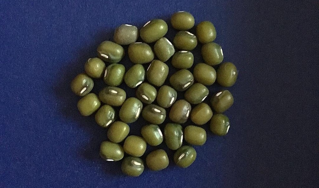 munggo beans