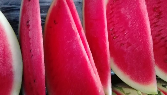 Large Slices of Watermelon