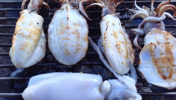 Squids Being Grilled